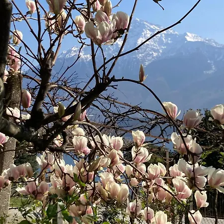 ゲストハウス My Holidays Bei Franca 3*