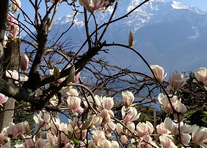 Gasthuis My Holidays Bei Franca 3*